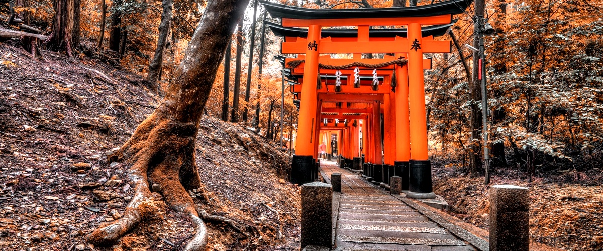 2. Esplorando il Giappone attraverso fotografie straordinarie: una visione unica del paese del Sol Levante