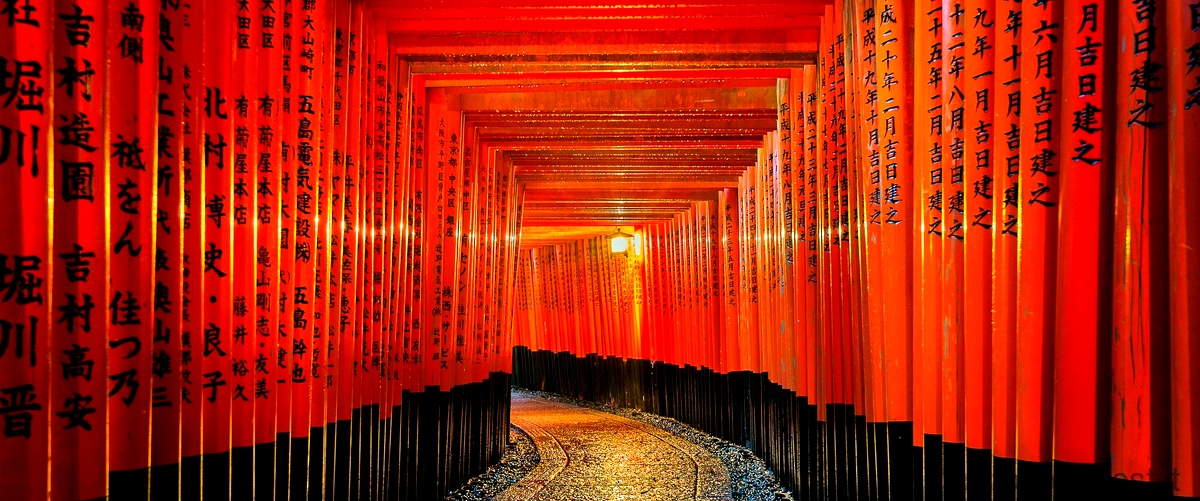 3. Scopri l'affascinante cultura giapponese attraverso fotografie emozionanti