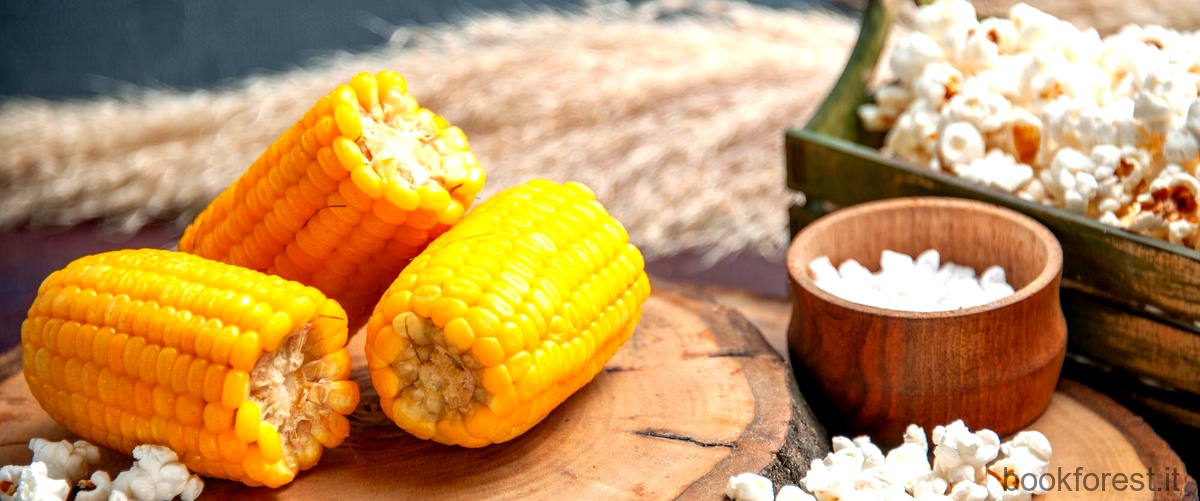 Amanti degli snack di mais: prova i deliziosi Love Corn Snacks