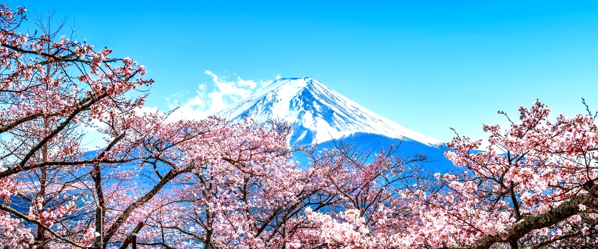 Perché il Monte Fuji è sacro per i giapponesi?