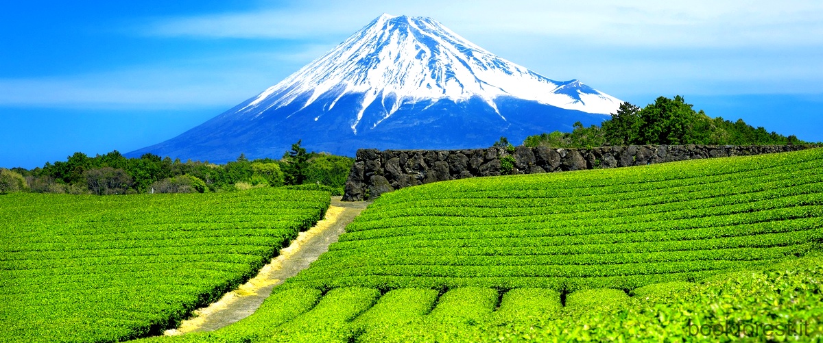 Quali sono le montagne più importanti del Giappone?